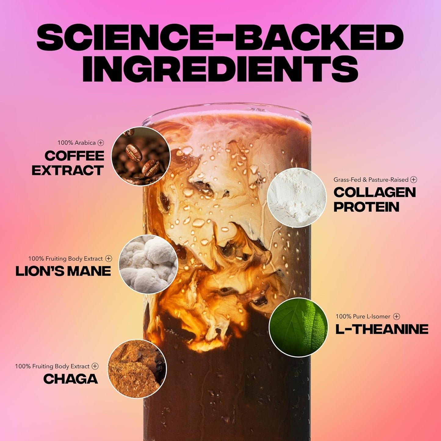 Everyday Dose Premium Adaptogenic Mushroom Coffee with Grass-Fed Collagen 30 Serving